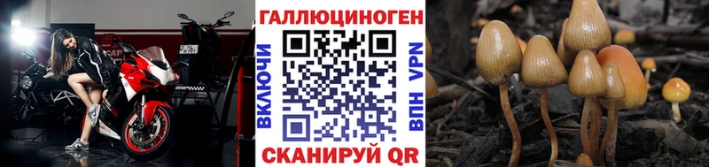 где продают наркотики  Ульяновск  Псилоцибиновые грибы прущие грибы 